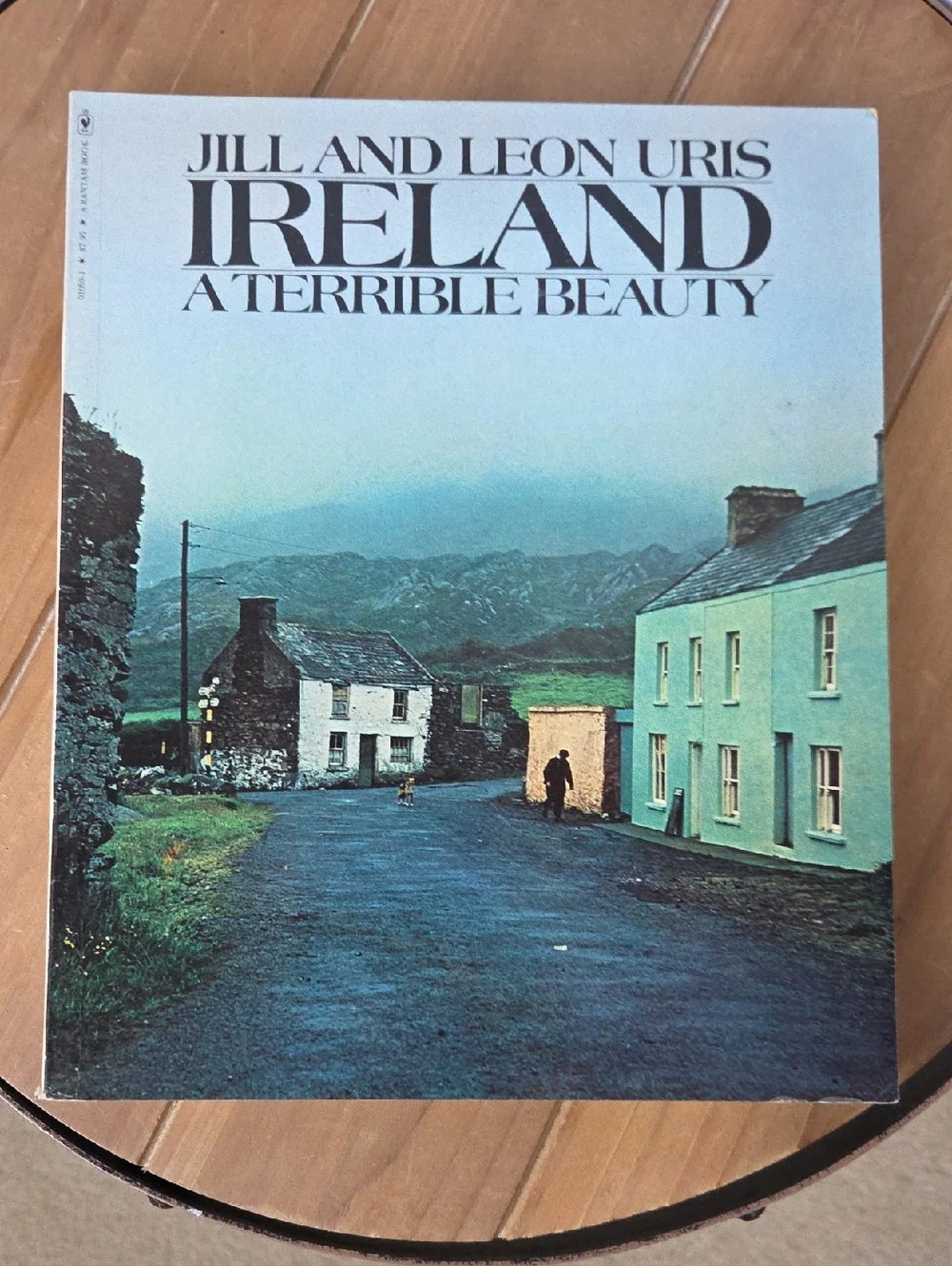 Ireland: A Terrible Beauty Vintage Photo Book Cover - Blue & Green